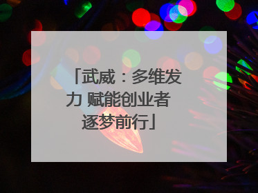 武威：多维发力 赋能创业者逐梦前行