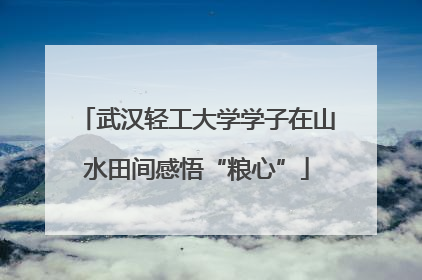 武汉轻工大学学子在山水田间感悟“粮心”