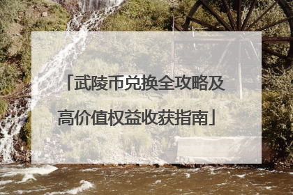 武陵币兑换全攻略及高价值权益收获指南