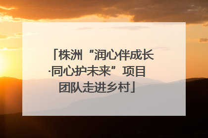 株洲“润心伴成长·同心护未来”项目团队走进乡村