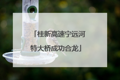 桂新高速宁远河特大桥成功合龙