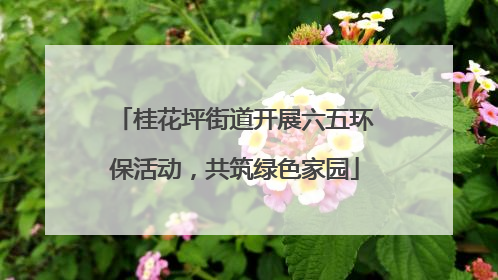 桂花坪街道开展六五环保活动，共筑绿色家园