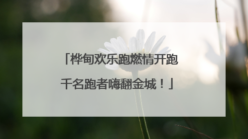 桦甸欢乐跑燃情开跑 千名跑者嗨翻金城！