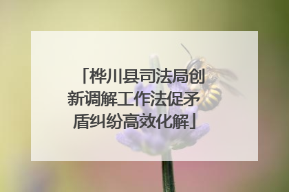 桦川县司法局创新调解工作法促矛盾纠纷高效化解