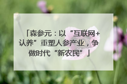 森参元：以“互联网+认养”重塑人参产业，争做时代“新农民”