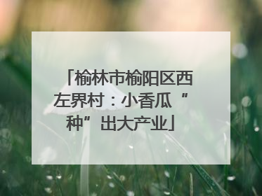 榆林市榆阳区西左界村：小香瓜“种”出大产业