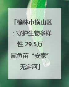 榆林市横山区：守护生物多样性 29.5万尾鱼苗“安家”无定河