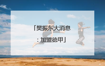 樊振东大消息：加盟德甲