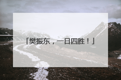 樊振东，一日四胜！