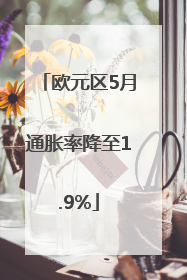 欧元区5月通胀率降至1.9%
