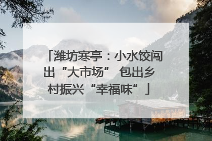 潍坊寒亭：小水饺闯出“大市场” 包出乡村振兴“幸福味”