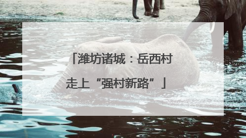 潍坊诸城：岳西村走上“强村新路”