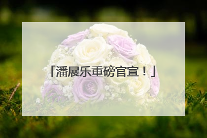 潘展乐重磅官宣！