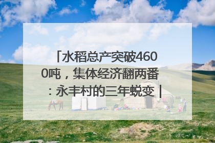 水稻总产突破4600吨，集体经济翻两番：永丰村的三年蜕变｜您牵挂的四川
