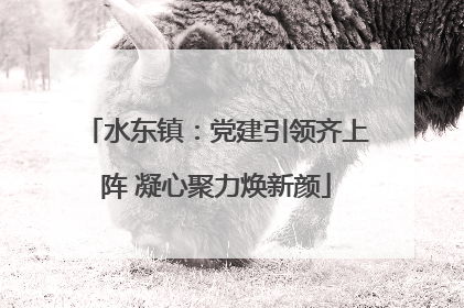 水东镇：党建引领齐上阵 凝心聚力焕新颜