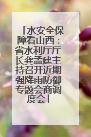 水安全保障看山西：省水利厅厅长龚孟建主持召开近期强降雨防御专题会商调度会