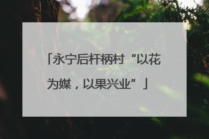 永宁后杆柄村“以花为媒，以果兴业”