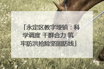 永定区教字垭镇：科学调度 干群合力 筑牢防洪抢险坚固防线