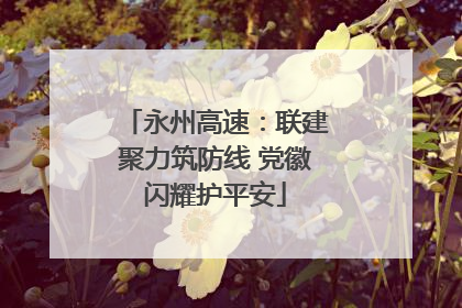 永州高速：联建聚力筑防线 党徽闪耀护平安