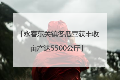 永春东关镇冬瓜喜获丰收 亩产达5500公斤
