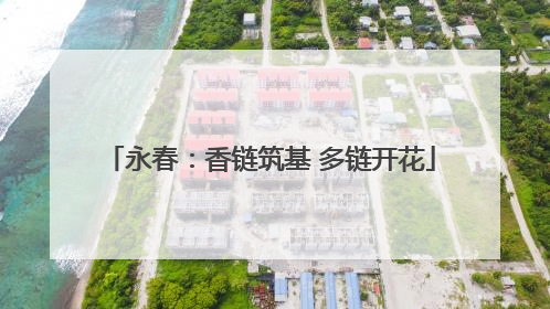 永春：香链筑基 多链开花