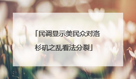 民调显示美民众对洛杉矶之乱看法分裂