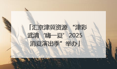 汇京津冀资源 “津彩武清‘嗨一夏’2025消夏演出季”举办