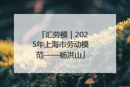 汇劳模｜2025年上海市劳动模范——杨洪山