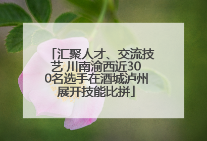 汇聚人才、交流技艺 川南渝西近300名选手在酒城泸州展开技能比拼