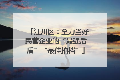 江川区：全力当好民营企业的“最强后盾”“最佳拍档”