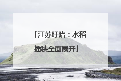 江苏盱眙：水稻插秧全面展开