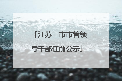 江苏一市市管领导干部任前公示