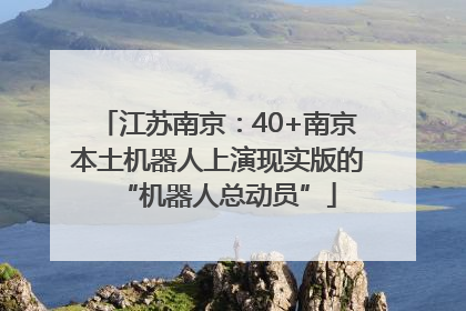 江苏南京：40+南京本土机器人上演现实版的“机器人总动员”