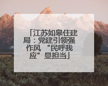 江苏如皋住建局：党建引领强作风 “民呼我应”显担当
