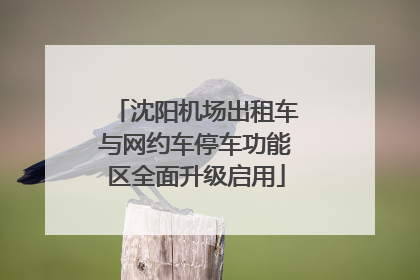 沈阳机场出租车与网约车停车功能区全面升级启用