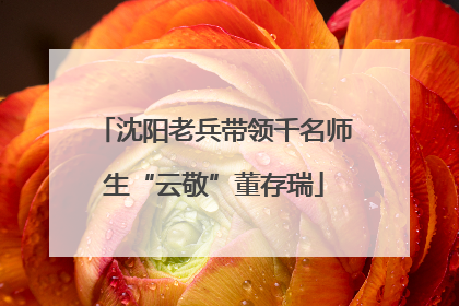 沈阳老兵带领千名师生“云敬”董存瑞