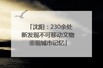 沈阳：230余处新发现不可移动文物重现城市记忆