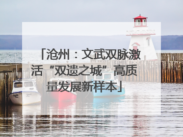 沧州：文武双脉激活“双遗之城”高质量发展新样本
