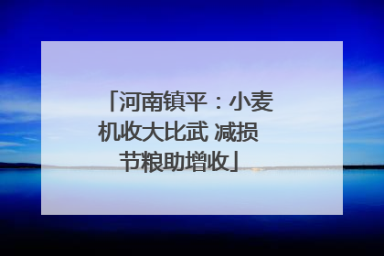 河南镇平：小麦机收大比武 减损节粮助增收