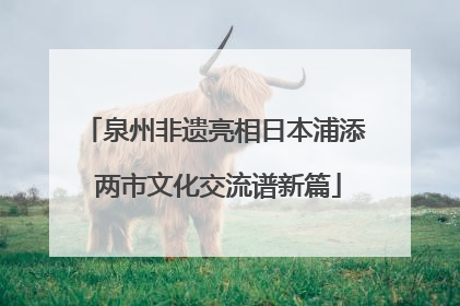 泉州非遗亮相日本浦添 两市文化交流谱新篇