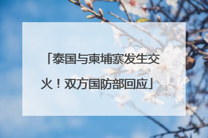 泰国与柬埔寨发生交火！双方国防部回应