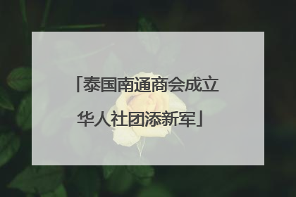 泰国南通商会成立 华人社团添新军