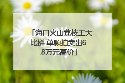 海口火山荔枝王大比拼 单颗拍卖出6.8万元高价