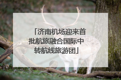济南机场迎来首批航旅融合国际中转航线旅游团