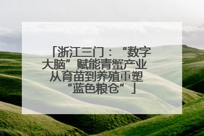 浙江三门：“数字大脑”赋能青蟹产业 从育苗到养殖重塑“蓝色粮仓”