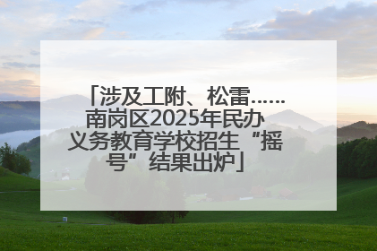 涉及工附、松雷……南岗区2025年民办义务教育学校招生“摇号”结果出炉