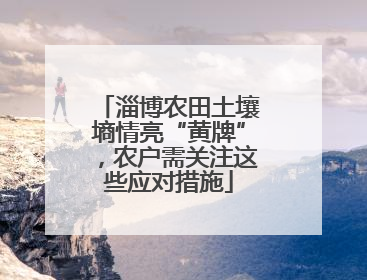 淄博农田土壤墒情亮“黄牌”，农户需关注这些应对措施