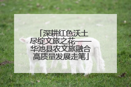 深耕红色沃土 尽绽文旅之花——华池县农文旅融合高质量发展走笔