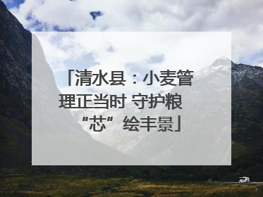 清水县：小麦管理正当时 守护粮“芯”绘丰景