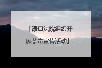 渌口法院组织开展禁毒宣传活动